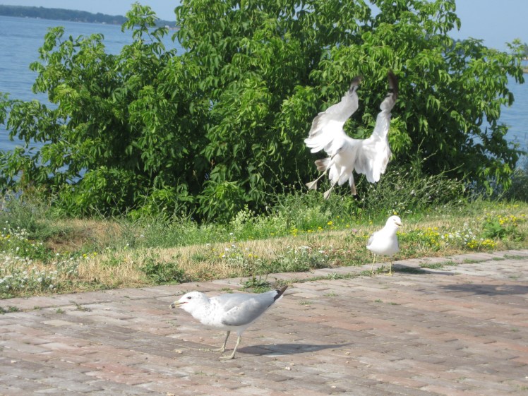 timing is everything