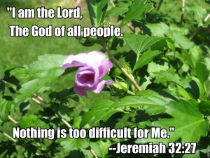 Jeremiah3227