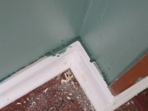 Whoops. Painted the woodwork.