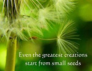 Even-the-greatest-creations-start-from-small-seeds