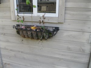 window box