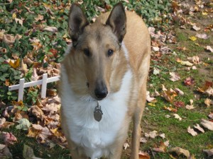 Thanks for joining me.