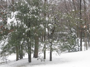 Sure it's pretty--from indoors!